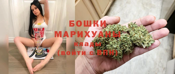 apvp Козельск
