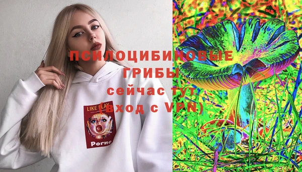apvp Козельск