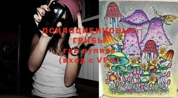 apvp Козельск